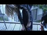 Get 3 Archive Videos with Monika enjoying her shiny nylon Rainwear from 2010!