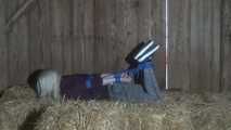 Elysa im hogtie 1/2