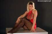 Amber 004