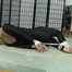 Lycra hogtied video part 1
