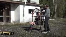 Der Korb