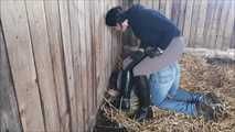 This is what happens to the groom when he disobeys