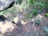 Aubrey Lee - naughty babysitter gives an outdoor blowjob - IPOD version