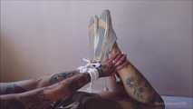 Golden Hogtie