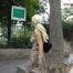 025003 Genevieve Takes A Desperate Pee In The Park