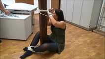 Vanessa - Tricked Part 6 of 7