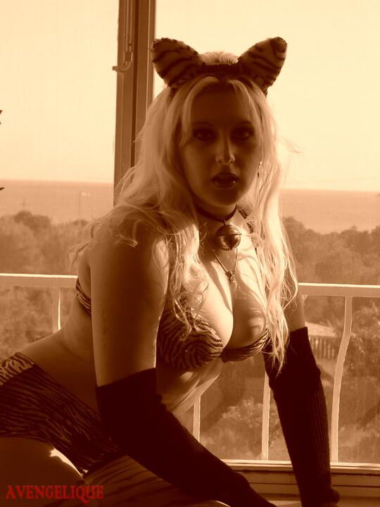 classic  Cosplay Kitten 