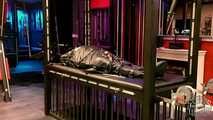 Sadistic CBT Plays with my maso Slave