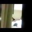 HIDDEN CAM AND FUCKING COUPLES