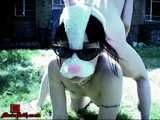 Bunny Babes