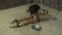 Afsana in Heavy Chains