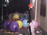 dany 14