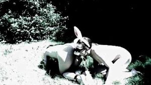 Bunny Babes