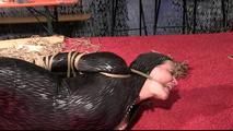 JJ Plush - hogtied by Delona