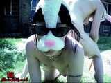 Bunny Babes