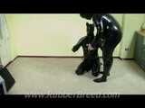 Training in the Puppy Suit