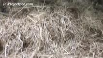 078032 Rachel Evans Pees Off The Farm Trailer
