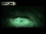 HORNY AT MALEDIVEN