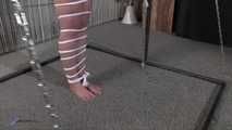 Sophias Rope Bondage und bittere Demütigung