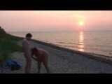 Stallion on the beach ...
