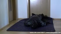 Facesitting in Adidas Regenjacke - Miss Cedi nimmt ihrem Sklaven den Atem