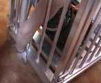 ab-086 Held for ransom (3)