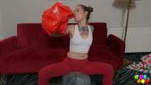 1450 New Pillows