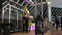 Lena King - suspended in Public