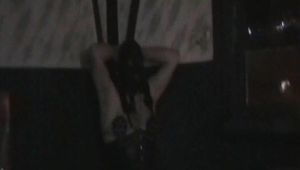 Thank you for your loyalty clips dollars only 1 per clip