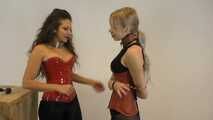 Vanessa brown corset