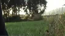 VOYEURFUN 1907