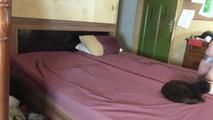 Aurora taped on bed 2/4