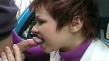THE SEX-CRAZY DRIVING SCHOOL