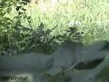 OUTDOORGEIL 042