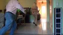 Request video Elena - The Treasury official Part 3 of 6