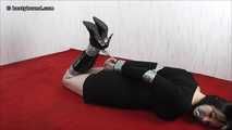 Daphne in hogtie photographed