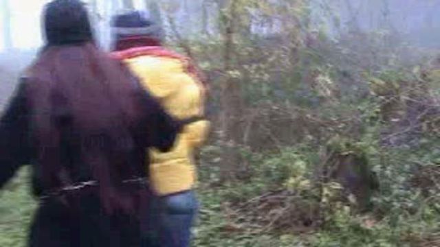 ab-132  Attack in the forest (2)