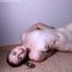 Amanda tied nude