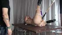 Yvette is fixed and penetrated