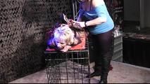 2 new Hogtie Challenges for Lena King