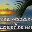 SPERM ORGY IN LLORET DEL MAR