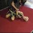 Supertight Bondage Endurance Challenge