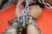 Strong hogcuffed with chains