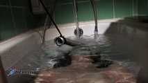 Yasemin's Bathtub BDSM Games