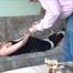 Request video Nina A. - The babysitter part 2 of 5