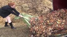 Jadirs Education - Rain, Leaves and hard work