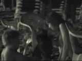 HIDDEN CAM AND FUCKING COUPLES