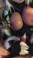 Furry vixen fox milks the slave.