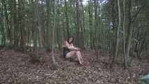 Ayu tree tied 2/2