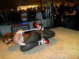 Only Yvette can be hogtied like this !
